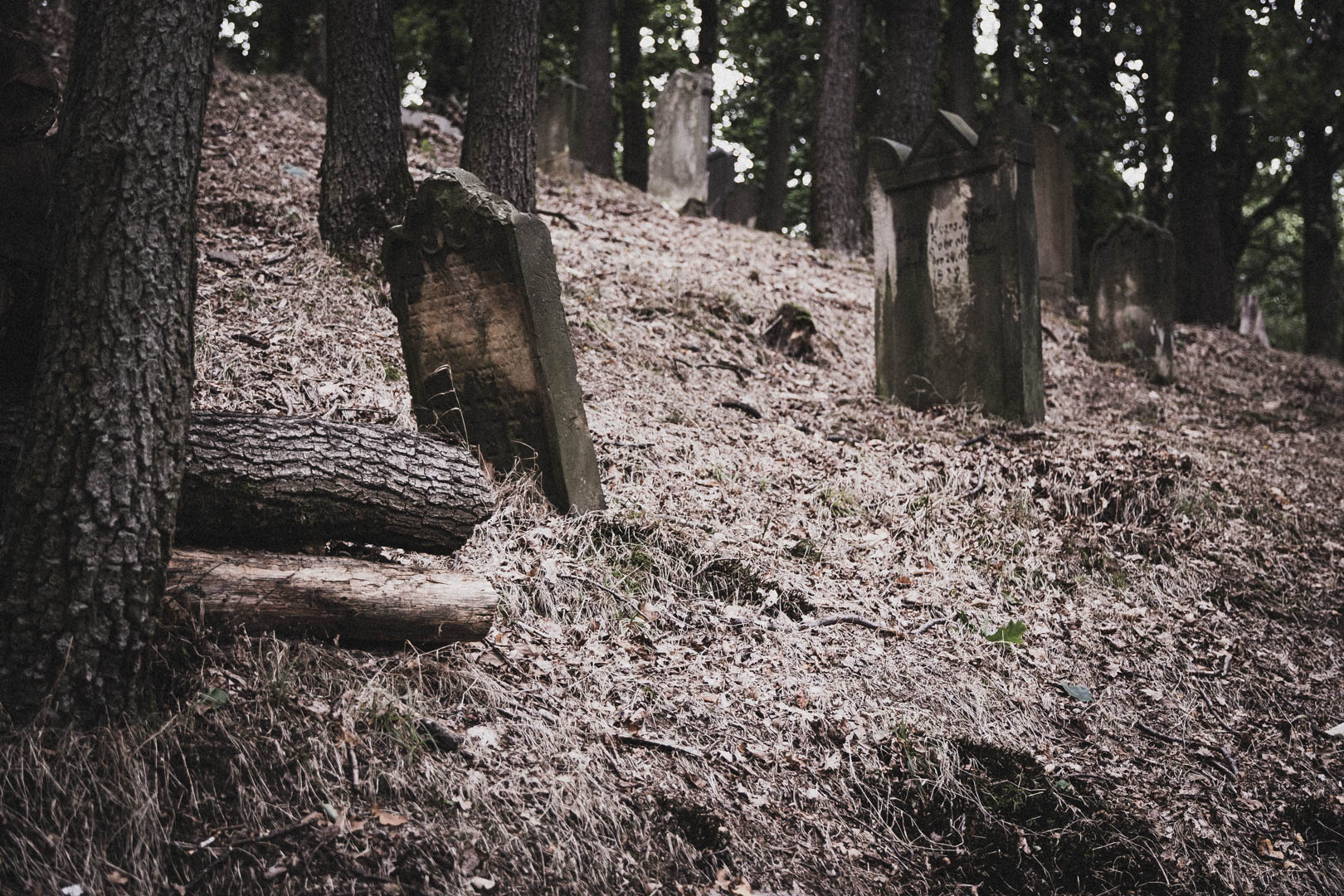 Sontra, Jüdischer Friedhof